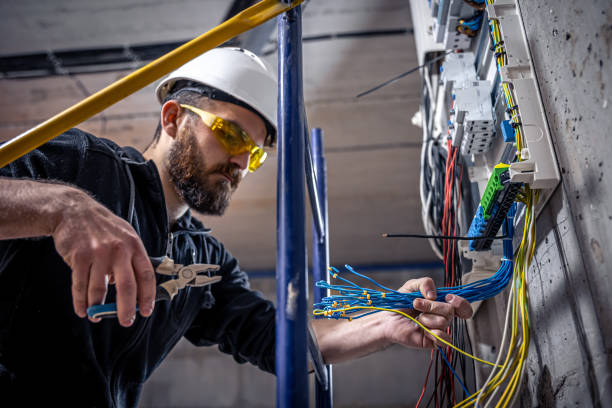 Best Ceiling Fan Installation Electrician  in Schulenburg, TX