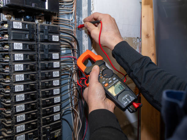 Best Electric Panel Repair  in Schulenburg, TX